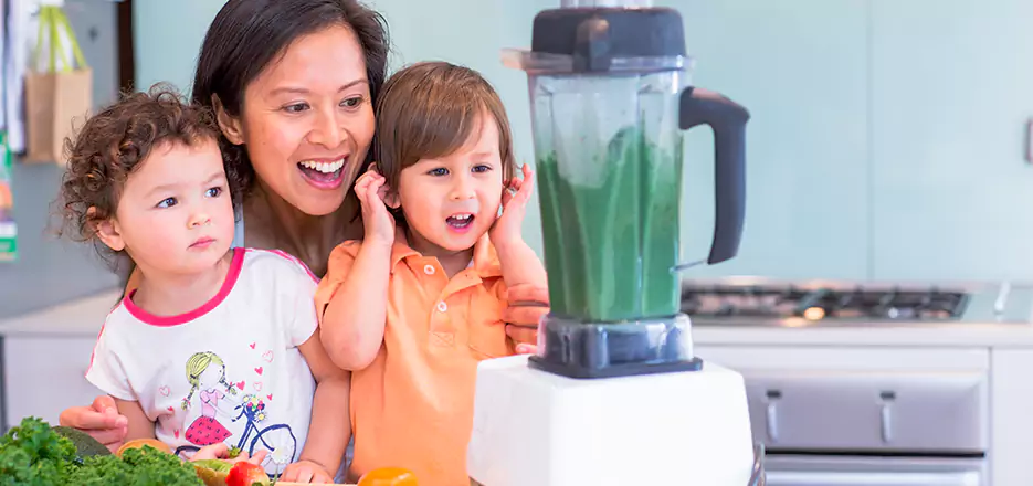 Juicer and Mixer Blender Repair in Melrose 