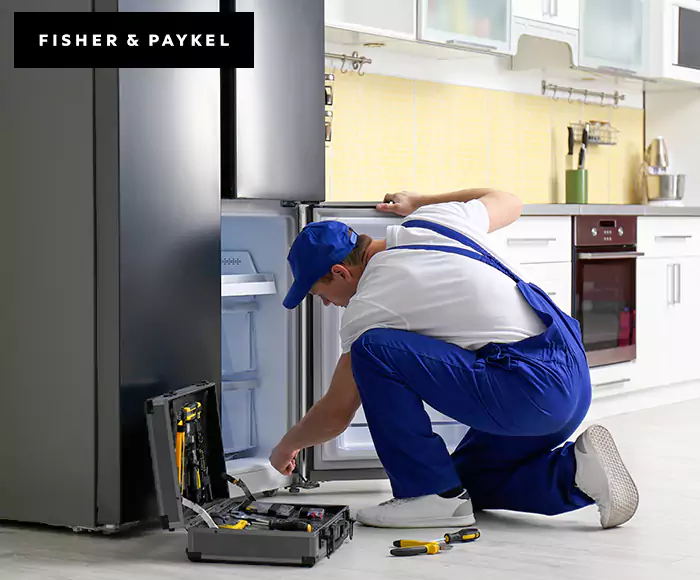 Top-Rated Fisher & Paykel Appliance Experts: Your Brand Specialist in Melrose, MA